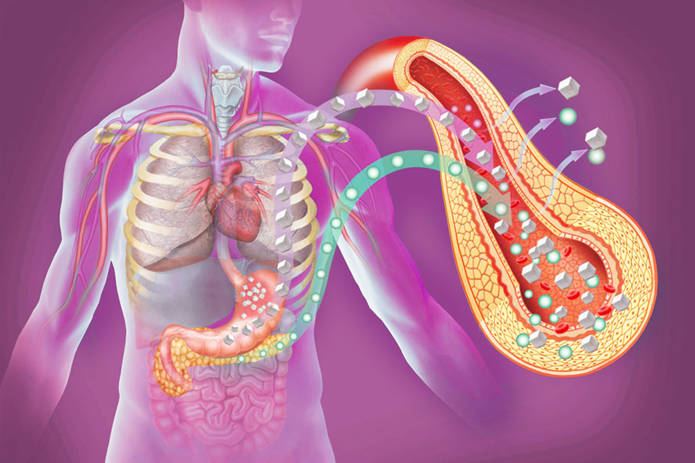 que-es-la-diabetes-salud-humana