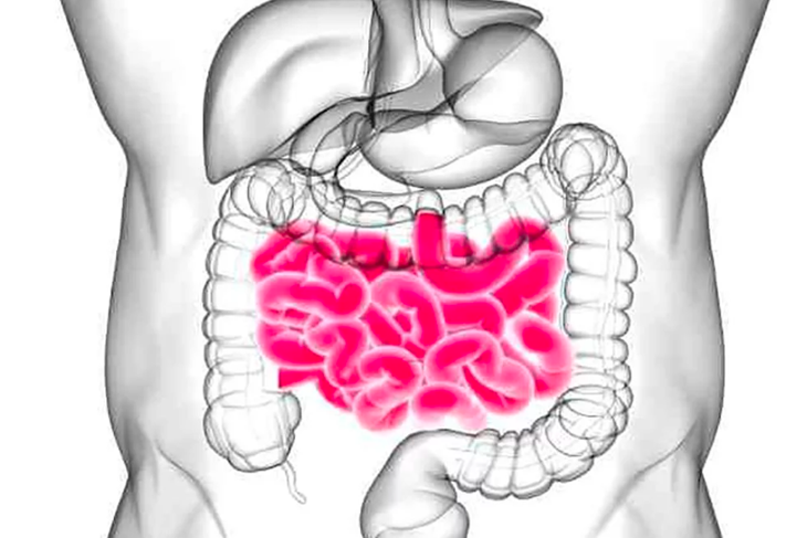 sintomas-celiaco-salud-humana